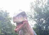 Messenger_creation_c688b42f-0b76-4008-90d6-5a4e8a02d285.jpeg