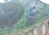 Messenger_creation_21a87a29-f506-4891-8da3-b29d8866df87.jpeg