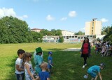 IMG_20240624_092905.jpg