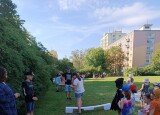 IMG_20240624_090725.jpg