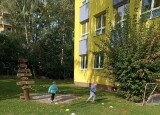 IMG_20240930_102608.jpg