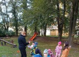 IMG_20240930_102228.jpg