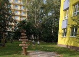 IMG_20240930_102644.jpg