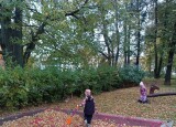 IMG_20241018_103312.jpg