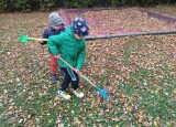 IMG_20241018_103348.jpg