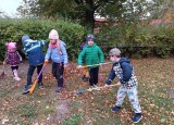 IMG_20241018_103303.jpg