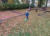 IMG_20241018_103359.jpg