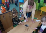 IMG_20241031_093627.jpg