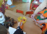 IMG_20241031_092640.jpg