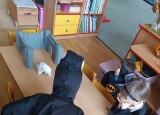 IMG_20241031_092405.jpg