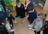 IMG_20241031_093453.jpg