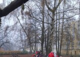 IMG-20241111-WA0004.jpg
