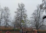 IMG-20241111-WA0005.jpg