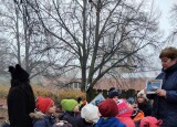 IMG-20241111-WA0009.jpg