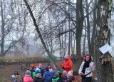 IMG-20241111-WA0007.jpg