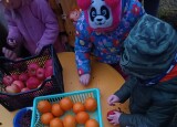 IMG_20241219_161951.jpg