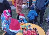 IMG_20241219_161528.jpg