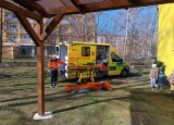 IMG_20250320_103349.jpg