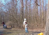 IMG_20250321_095719.jpg