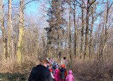 IMG_20250321_094730.jpg
