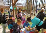 IMG_20250409_153003.jpg