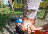 IMG_20250430_101818.jpg