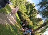 IMG_20250529_094937.jpg