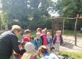 IMG_20250529_094539.jpg
