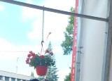 IMG-20250619-WA0002.jpg