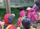 IMG_20250623_101514.jpg
