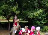 Messenger_creation_18C06665-C165-471D-9E15-A61BDC24AA03.jpeg