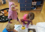 IMG_20251006_144830.jpg