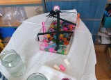 IMG_20251006_135817.jpg