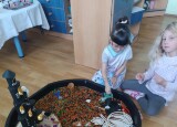 IMG_20251020_150746.jpg