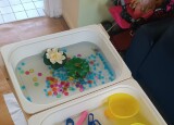 IMG_20251020_142348.jpg
