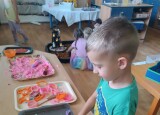 IMG_20251020_152451.jpg