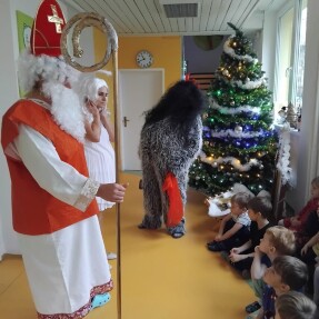 náhledová fotka z alba